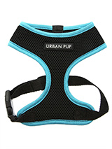Active Mesh Neon Blue Harness - Get fit, stay safe, stay seen. Treat your training buddy to an attractive new Active Mesh Harness with a dash of sporty neon to compliment your keep fit gear. But also great for regular walkies. High visibility Active Mesh Neon Harnesses provide the ultimate in comfort and safety, featuring a breath...