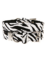 Zebra Print Fabric Collar - Our Faux Zebra collar is a contemporary animal print style and is right on trend. It is lightweight and incredibly strong. The collar has been finished with chrome detailing including the eyelets and tip of the collar. A matching lead, harness and bandana are available to purchase separately. You ca...