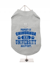 ''Property Of Chihuahua University'' Harness-Lined Dog T-Shirt