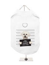 ''Police Mugshot - Bichon Friese'' Harness-Lined Dog T-Shirt